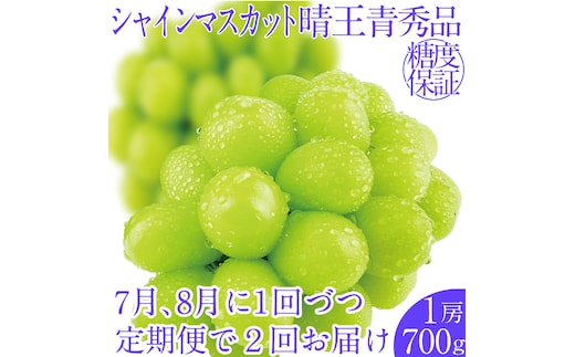 2026年先行予約【2回定期便】 シャインマスカット晴王1房 約700g 7月8月に出荷 人気 岡山県産 種無し 皮ごと食べる みずみずしい フレッシュ 晴れの国 おかやま 果物大国 ハレノフルーツ