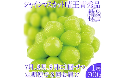 2026年先行予約【3回定期便】シャインマスカット晴王1房 約700g 7月8月9月に出荷 人気 岡山県産 種無し 皮ごと食べる みずみずしい フレッシュ 晴れの国 おかやま 果物大国 ハレノフルーツ