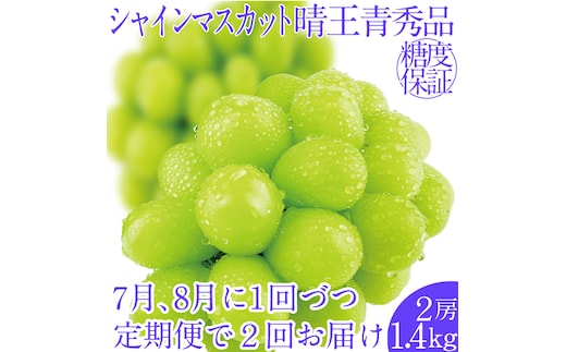 2026年先行予約【2回定期便】シャインマスカット晴王2房 約1.4kg 7月8月に出荷 人気 岡山県産 種無し 皮ごと食べる みずみずしい フレッシュ 晴れの国 おかやま 果物大国 ハレノフルーツ