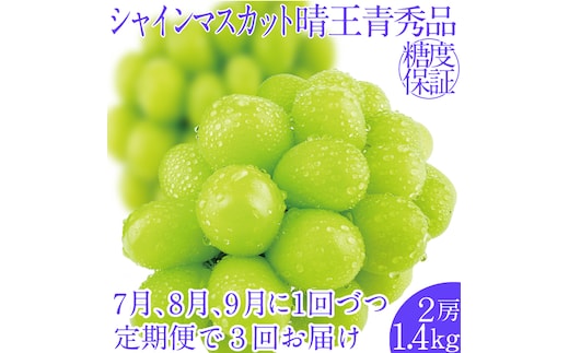 2026年先行予約【3回定期便】シャインマスカット晴王2房 約1.4kg 7月8月9月に出荷 人気 岡山県産 種無し 皮ごと食べる みずみずしい ハレノフルーツ