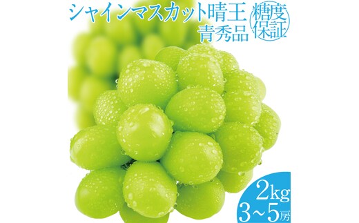 2026年 先行予約受付中 シャインマスカット晴王 約2kg(3～5房) 岡山県産 種無し 皮ごと食べる みずみずしい 甘い フレッシュ 瀬戸内 晴れの国 おかやま 果物大国 ハレノフルーツ