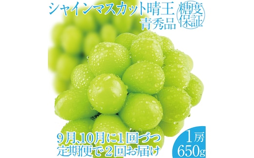 2026年 先行先行予約【2回定期便】シャインマスカット晴王1房 約650g 岡山県産 種無し 皮ごと食べる みずみずしい 甘い フレッシュ 瀬戸内 晴れの国 おかやま 果物大国 ハレノフルーツ9月10月お届け 