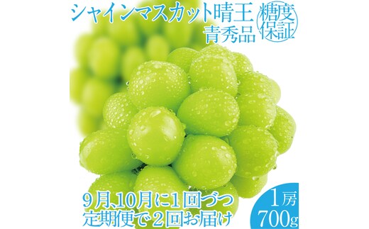 2026年 先行先行予約【2回定期便】シャインマスカット晴王1房 約700g 岡山県産 種無し 皮ごと食べる みずみずしい 甘い フレッシュ 瀬戸内 晴れの国 おかやま 果物大国 ハレノフルーツ9月10月お届け 