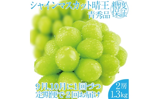 2026年 先行先行予約【2回定期便】シャインマスカット晴王2房 約1.3kg 岡山県産 種無し 皮ごと食べる みずみずしい 甘い フレッシュ 瀬戸内 晴れの国 おかやま 果物大国 ハレノフルーツ9月10月お届け