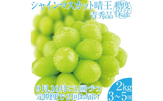 2026年 先行先行予約【2回定期便】シャインマスカット晴王約2kg(3～5房) 岡山県産 種無し 皮ごと食べる みずみずしい 甘い フレッシュ 瀬戸内 晴れの国 おかやま 果物大国 ハレノフルーツ9月10月お届け