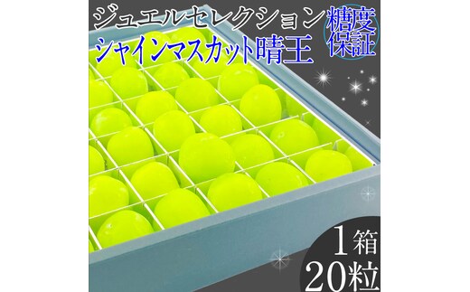2026年 先行予約受付中 シャインマスカット晴王 ジュエルセレクション 1箱20粒 岡山県産 種無し 皮ごと食べる みずみずしい 甘い 瀬戸内 ハレノフルーツ