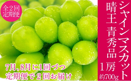 2026年予約受付中 シャインマスカット 晴王 7月8月に1回づつ出荷 2回 定期便 1房 約700g 人気 岡山県産 種無し 皮ごと食べる みずみずしい フレッシュ 晴れの国 おかやま 果物大国 ハレノフルーツ