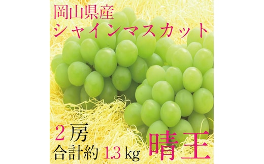 ぶどう 2026年 先行予約 9月・10月発送 シャインマスカット 晴王 2房（合計約1.3kg） ブドウ 葡萄 岡山県産 国産 フルーツ 果物 ギフト