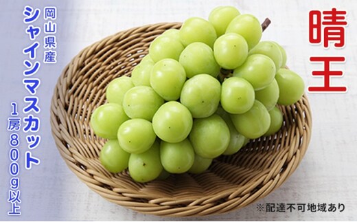 ぶどう 2026年 先行予約 シャインマスカット 晴王 1房 800g以上 ブドウ 葡萄 岡山県産 国産 フルーツ 果物 ギフト