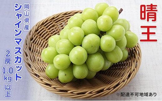 ぶどう 2026年 先行予約 シャインマスカット 晴王 2房 合計1.0kg以上 ブドウ 葡萄 岡山県産 国産 フルーツ 果物 ギフト