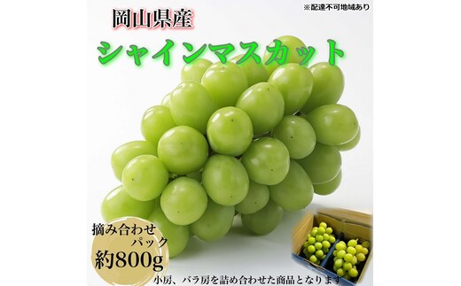 ぶどう 2026年 先行予約 【平均糖度20度】農家こだわりの シャインマスカット ご家庭用パック 合計約800g ブドウ 葡萄 岡山県産 国産 フルーツ 果物 ギフト 【 Nini farm 農家 直送 】