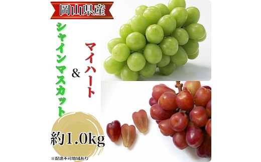 ぶどう 2026年 先行予約 農家こだわりのシャインマスカット＆ハート型のマイハート 合計約1.0kg ブドウ 葡萄 岡山県産 国産 フルーツ 果物 ギフト 【 Nini farm 農家 直送 】