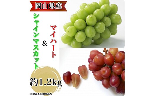 ぶどう 2026年 先行予約 農家こだわりのシャインマスカット＆ハート型のマイハート 合計約1.2kg ブドウ 葡萄 岡山県産 国産 フルーツ 果物 ギフト 【 Nini farm 農家 直送 】