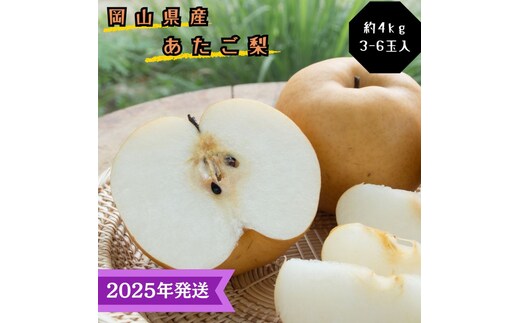 【2025年先行受付】 梨 あたご梨 秀品 約4kg(3～6玉) 岡山名産 日本一大きな梨 なし ナシ お歳暮 ギフト 御礼 プレゼント 御礼 御祝 御供 果物 くだもの フルーツ