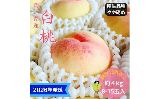 【2026年先行受付】 白桃 特秀 ロイヤル 大玉 晩生品種 約4kg(8～15玉) 岡山県産 桃 もも モモ 御中元 ギフト 御礼 プレゼント 御礼 御祝 御供 果物 くだもの フルーツ