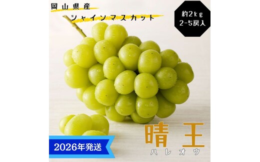 【2026年先行受付】 シャインマスカット 晴王 秀品 大房 約2kg(2～5房) 岡山県産 ぶどう 葡萄 ブドウ ギフト 御礼 プレゼント 御礼 御祝 御供 果物 くだもの フルーツ