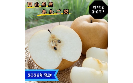 【2026年先行受付】 梨 あたご梨 秀品 約4kg(3～6玉) 岡山名産 日本一大きな梨 なし ナシ お歳暮 ギフト 御礼 プレゼント 御礼 御祝 御供 果物 くだもの フルーツ