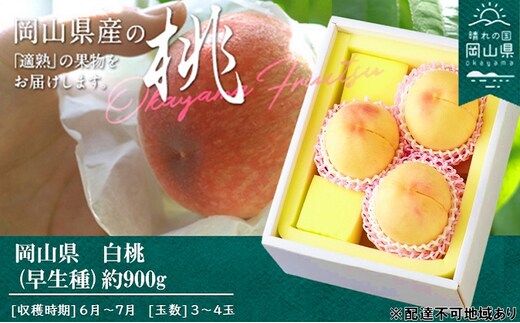 桃 2026年 先行予約 桃 早生種 約900g 3～4玉 もも モモ 岡山県産 国産 フルーツ 果物 ギフト