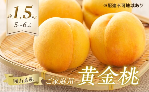 桃 2026年 先行予約 ご家庭用 黄金桃 5～6玉 合計約1.5kg もも モモ 岡山県産 国産 フルーツ 果物 ギフト