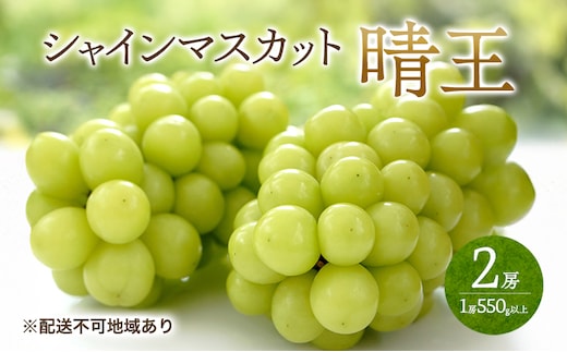 ぶどう 2026年 先行予約 シャイン マスカット 晴王 2房 （1房550g以上） マスカット ブドウ 葡萄 岡山県産 国産 フルーツ 果物 ギフト 桃茂実苑
