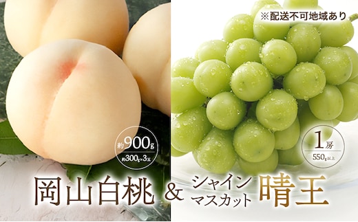 桃 ぶどう 2026年 先行予約 白桃 3玉 合計約900g （1玉約300g） シャインマスカット 晴王 1房 550g以上 もも 葡萄 詰合せ 岡山 国産 フルーツ 果物 ギフト 桃茂実苑