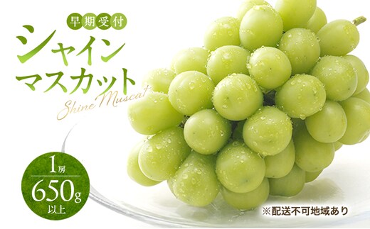 ぶどう 早期受付 シャイン マスカット 1房（650g以上） ブドウ 葡萄 岡山県産 国産 フルーツ 果物 ギフト 桃茂実苑