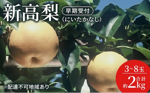 梨 早期受付 新高 梨 （にいたかなし）3～8玉 合計約2kgなし ナシ 岡山県産 国産 フルーツ 果物 ギフト桃茂実苑 果物類 先行予約