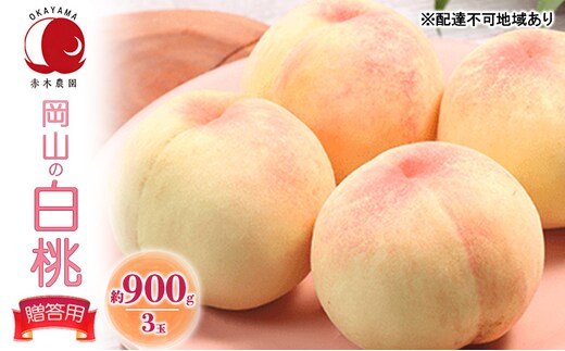 桃 2026年 先行予約 贈答用 岡山の白桃 約900g 3玉 白桃 もも モモ フルーツ 果物 国産 赤木農園