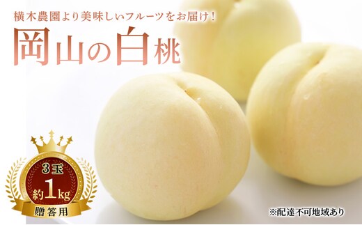 桃 2026年 先行予約 岡山の白桃 3玉 約1kg 贈答用 もも モモ 白桃 岡山白桃 岡山県産 国産 フルーツ 果物 ギフト 贈り物 横木農園 スイーツ