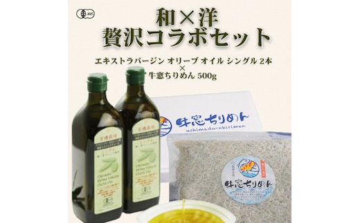 有機オリーブオイル×瀬戸内ちりめん“和×洋”贅沢コラボセット オーガニック 調味料 油 オリーブ油 食用油 ちりめんじゃこ 牛窓 ちりめん 瀬戸内海産