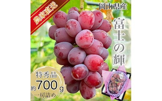 ぶどう 2026年 先行予約 話題の品種 富士の輝 1房詰め 特秀ランク 700g以上 特秀 葡萄 岡山県産 国産 フルーツ 果物 ギフト 【 Nini farm 農家 直送 】