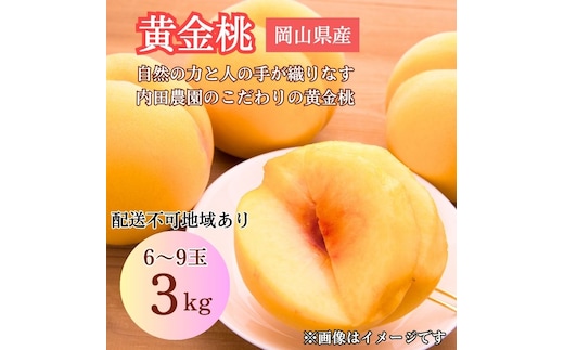 2026年 先行予約 岡山県産 黄色い桃 匠の黄金桃 3kg箱 6～9玉 内田農園 桃 果物 もも
