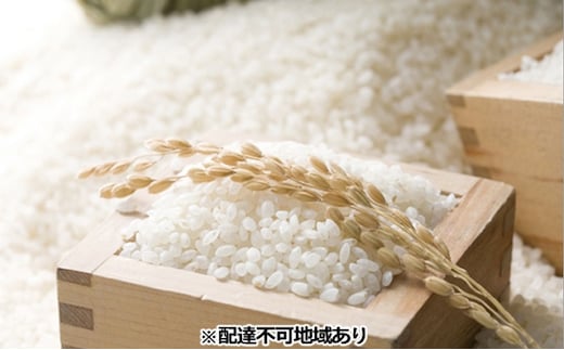 令和7年度産 きぬむすめ 精米 5kg 岡山県 赤磐市産 お米 