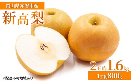 梨 2026年 先行予約 新高梨 2玉 約1.6kg（1玉約800g）岡山県 赤磐市産【配達不可：離島】 なし フルーツ 果物 ナシ 果物類 