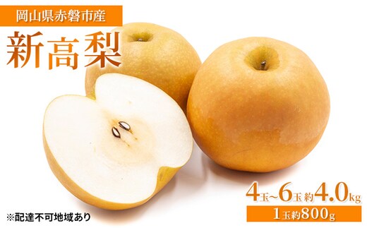 梨 2026年 先行予約 新高梨 4玉～6玉 約4.0kg（1玉約800g）岡山県赤磐市産【配達不可：離島】 なし フルーツ 果物 ナシ 果物類 