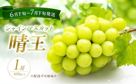 ぶどう 2026年 先行予約 シャイン マスカット 晴王 1房 650g以上 2026年6月下旬～7月下旬発送分 ブドウ 葡萄 岡山県 赤磐市産 国産 フルーツ 果物 ギフト 赤坂青空市 シャインマスカット 