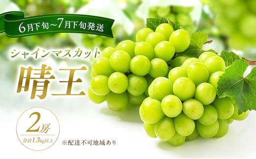 ぶどう 2026年 先行予約 シャイン マスカット 晴王 2房 合計1.3kg以上 2026年6月下旬～7月下旬発送分 ブドウ 葡萄 岡山県 赤磐市産 国産 フルーツ 果物 ギフト 赤坂青空市 