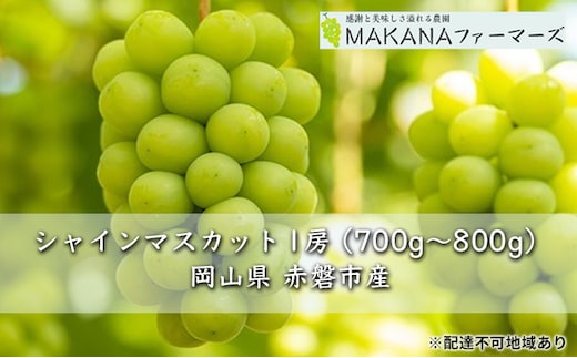 ぶどう 2026年 先行予約 シャイン マスカット 1房 700g～800g 大粒 種無し ブドウ 葡萄 岡山県 赤磐市産 国産 フルーツ 果物 ギフト MAKANAファーマーズ 果物類 シャインマスカット 