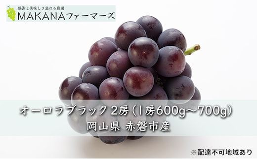 ぶどう 2026年 先行予約 オーロラ ブラック 2房（1房600g～700g） 大粒 種無し ブドウ 葡萄 岡山県 赤磐市産 国産 フルーツ 果物 ギフト MAKANAファーマーズ 果物類 オーロラブラック 