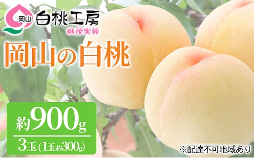 桃 2026年 先行予約 白桃 3玉 合計約900g（1玉約300g） もも モモ 岡山県産 国産 フルーツ 果物 ギフト 桃茂実苑 果肉 