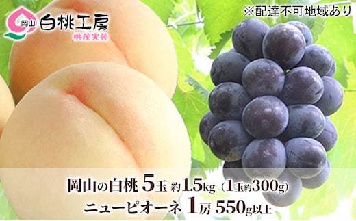 桃 ぶどう 2026年 先行予約 白桃 5玉 合計約1.5kg（1玉 約300g） ニューピオーネ 1房 550g 詰合せ もも モモ 葡萄 ブドウ ピオーネ 岡山県産 国産 フルーツ 果物 ギフト 桃茂実苑 