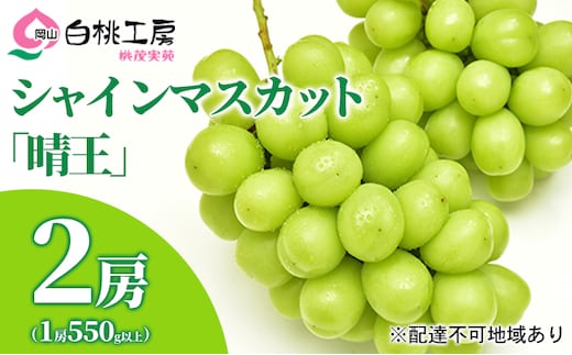 ぶどう 2026年 先行予約 シャインマスカット 晴王 2房（1房550g以上） シャイン マスカット ブドウ 葡萄 岡山県産 国産 フルーツ 果物 ギフト桃茂実苑 果物類 