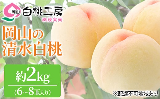 桃 2026年 先行予約 清水 白桃 2kg 6～8玉 もも モモ 岡山 国産 フルーツ 果物 ギフト 桃茂実苑 果肉 