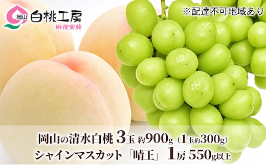 桃 ぶどう 2026年 先行予約 清水白桃 3玉合計 約900g（1玉約300g） シャインマスカット 晴王 1房 550g以上 詰合せ 白桃 もも 葡萄 ブドウ シャイン マスカット 岡山県産 国産 フルーツ 果物 桃茂実苑