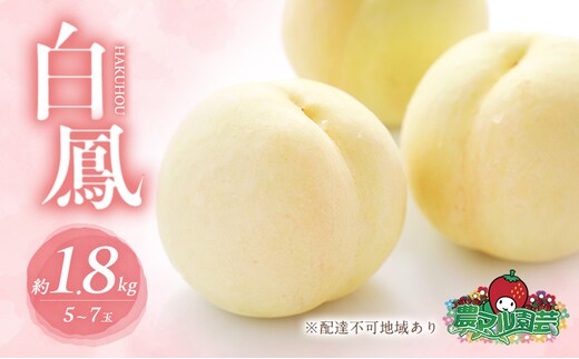 桃 2026年 先行予約 白桃 白鳳 約1.8kg 5～7玉 進物用 もも モモ フルーツ 果物 岡山 赤磐市産 農マル園芸 あかいわ農園 