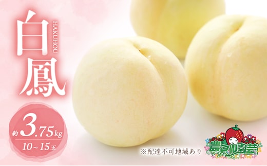 桃 2026年 先行予約 白桃 白鳳 約3.75kg 10～15玉 進物用 もも モモ フルーツ 果物 岡山 赤磐市産 農マル園芸 あかいわ農園 家庭用 