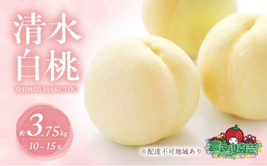 桃 2026年 先行予約 清水 白桃 約3.75kg 10～15玉 進物用 もも モモ フルーツ 果物 岡山 赤磐市産 農マル園芸 あかいわ農園 家庭用 3.75キロ 
