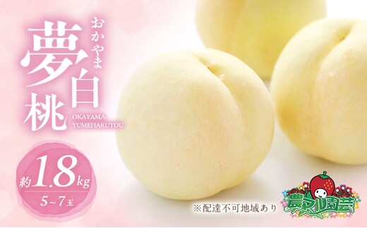 桃 2026年 先行予約 おかやま 夢 白桃 約1.8kg 5～7玉 進物用 もも モモ フルーツ 果物 岡山 赤磐市産 農マル園芸 あかいわ農園 家庭用 