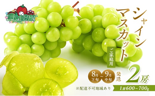 ぶどう 2026年 先行予約 ご家庭用 シャイン マスカット 2房 1房600g～700g 8月下旬～9月中旬発送分 ブドウ 葡萄 フルーツ 果物 岡山 赤磐市産 農マル園芸 あかいわ農園 