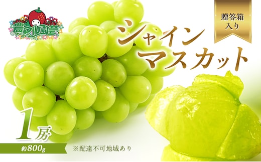 ぶどう 2026年 先行予約 シャイン マスカット 1房 約800g 贈答箱 ブドウ 葡萄 フルーツ 果物 岡山 赤磐市産 農マル園芸 あかいわ農園 果物類 シャインマスカット 